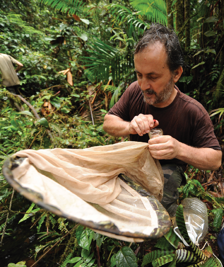 Collaboration avec les entomologistes en Guyane. © Parc amazonien de Guyane