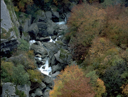 Valserine dans le PNR du Haut-Jura. © PNR Haut-Jura