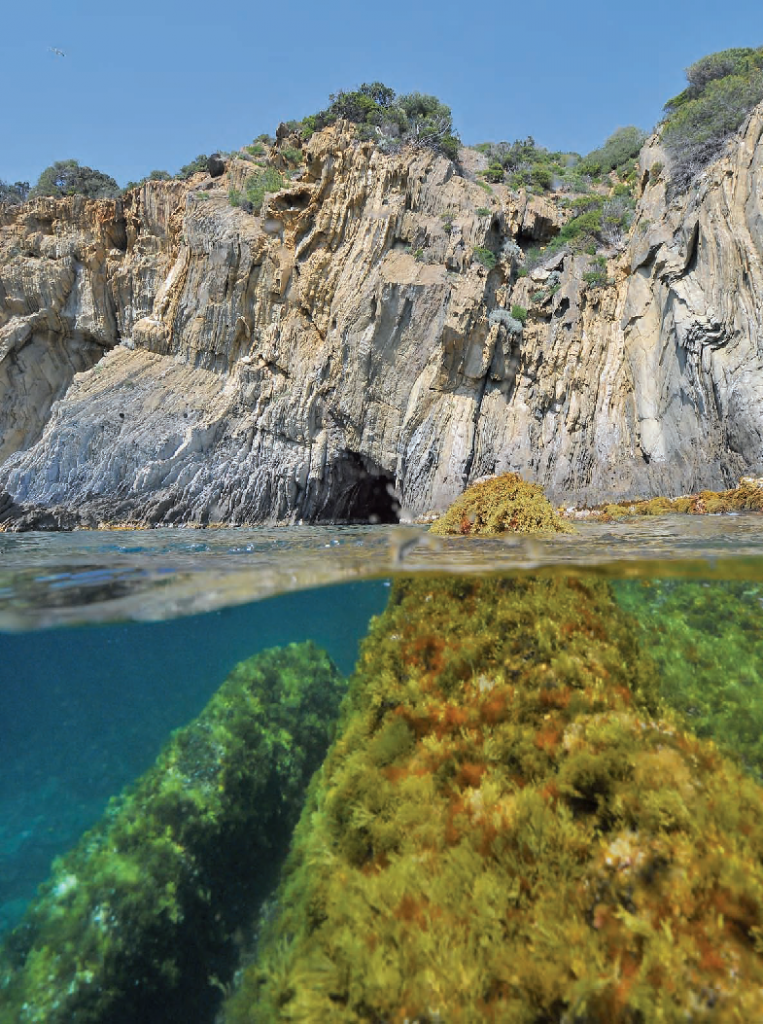 Parc national de Port-Cros