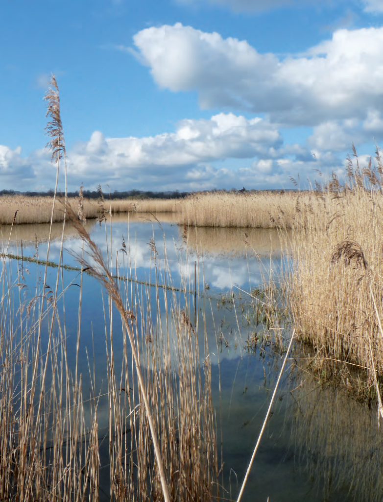 Marais de la Touques