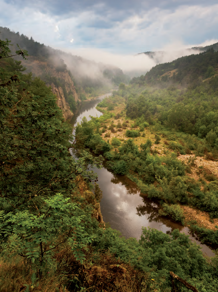 Les gorges de la Loire