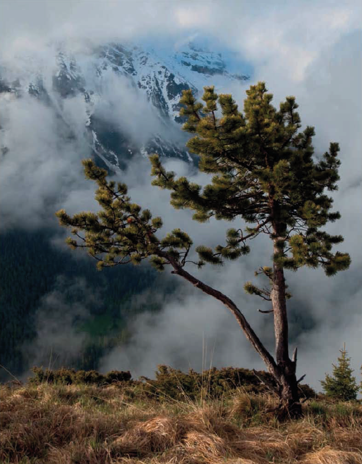 Parc national de la Vanoise