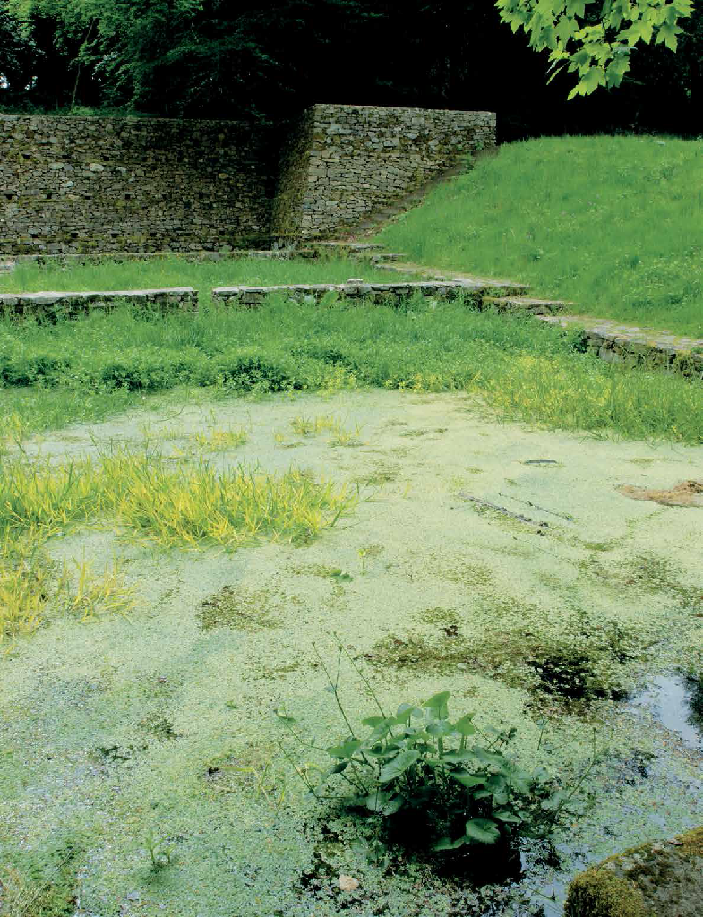 Fontaine Saint-Pierre