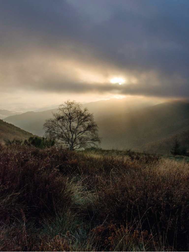 Sur la Corniche des Cévennes