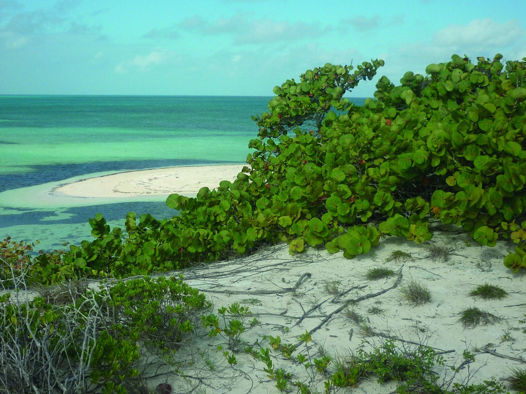 Cayo Guillermo, au centre nord de Cuba