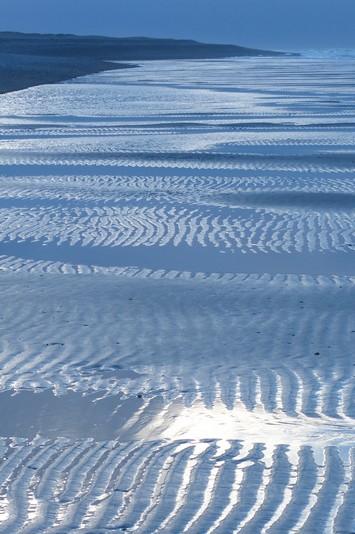Estran sableux s'étendant au pied du cordon de galets de la Mollière (Cayeux-sur-Mer), sud de la baie de Somme.