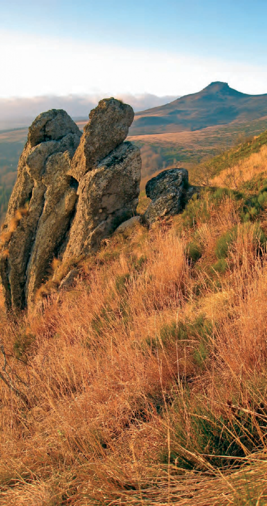 Réserve naturelle nationale de Chastreix- Sancy