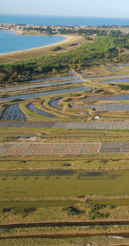 Site du Marais Breton