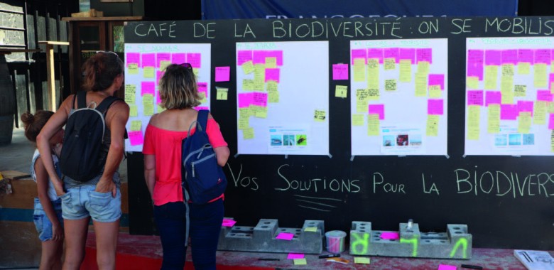 Des atelier dans les festivals et les pacs nationaux Des atelier dans les festivals et les pacs nationaux