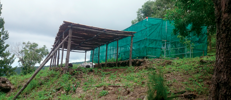 Pépinière construite sur l’ENS de Sans-Souci (commune de Saint-Paul) par des ouvriers en insertion.