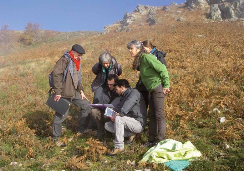 Formation au diagnostic éco-pastoral sur des parcours à ovins.