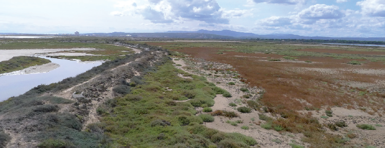 La digue à la mer impacte la connexion entre le côté plage et le côté anciens salins.