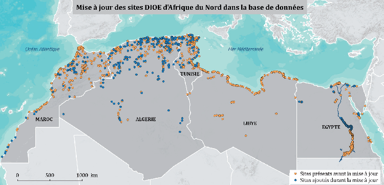 Carte des sites suivis, avant et après la mise en place du Réseau d'oiseaux d'eau Méditerranée. Le nombre de points en bleu (nouveaux sites) témoigne de l’implication renforcée des acteurs nationaux dans le réseau. © M. Suet – Tour du Valat / ONCFS