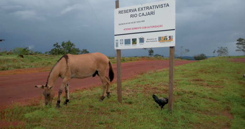L’entrée d’une réserve extractiviste (unité de conservation habitée), Amapá, Brésil.