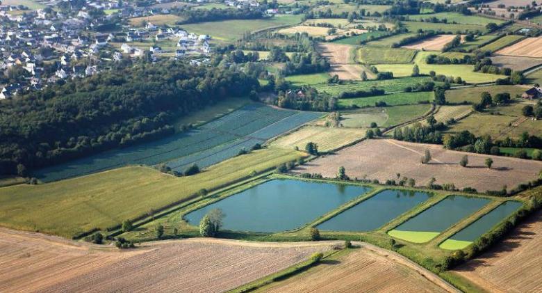 Marais de Châteauneuf (Ille-et-Vilaine)