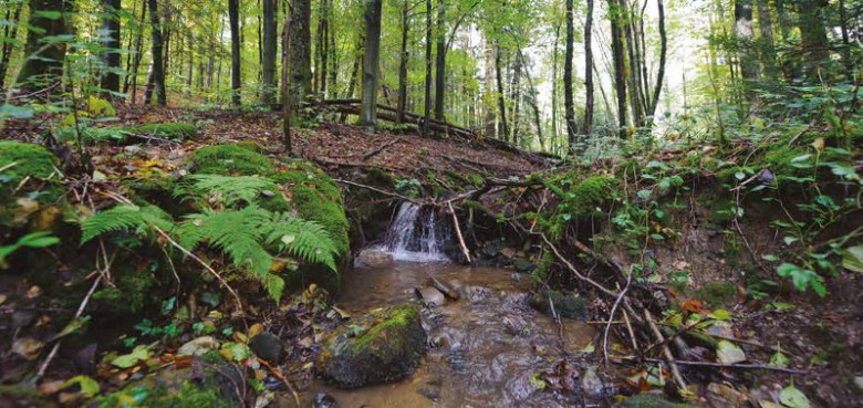 Considérer la protection des écosystèmes non plus comme un frein à l’aménagement du territoire mais comme une opportunité d’un développement à plus long terme.