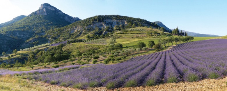 Raisonner en bouquets de services permet de caractériser les interactions entre services sur le territoire (Saint-Ferréol, Var).