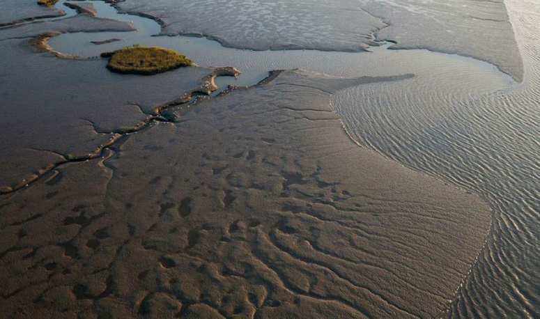 La baie de l'Aiguillon vue depuis un drone. © DR