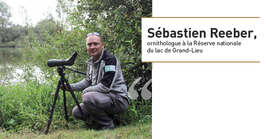 Sébastien Reeber, ornithologue à la Réserve nationale du lac de Grand-Lieu © SNPN Sébastien Reeber, ornithologue à la Réserve nationale du lac de Grand-Lieu © SNPN