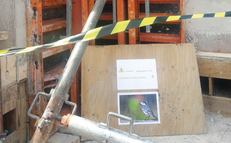 Nid de Bergeronnette grise ( otacilla alba alb ) préservé sur le chantier de la ligne 17 du Grand Paris Express. Nid de Bergeronnette grise ( otacilla alba alb ) préservé sur le chantier de la ligne 17 du Grand Paris Express.
