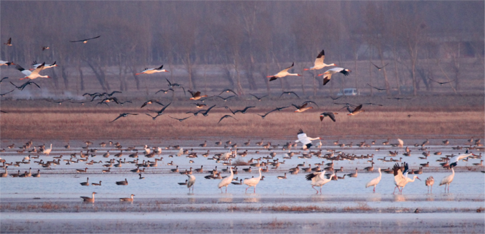 Le lac Wolong - Crédit : X. Rufray