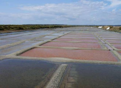 Les marais salants de Guérande et du Mès se trouvent au sein de deux sites Natura 2000. © Philippe Della Valle