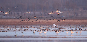Le lac Wolong - Crédit : X. Rufray Le lac Wolong - Crédit : X. Rufray
