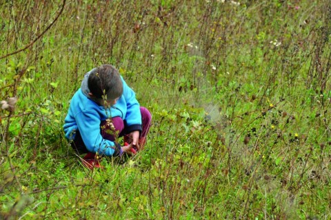 Convaincre au-delà d'un public de personnes engagées depuis toujours pour la biodiversité est une priorité.