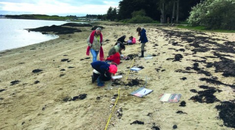 Élèves de l’île d’Arz étudiant la laisse de mer de leur aire marine éducative. © Fabrice Jaulin - PNRGM