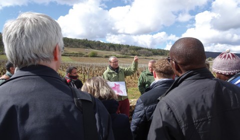 Lecture du paysage sur le site des Climats du vignoble de Bourgogne inscrit au Patrimoine mondial lors de la formation internationale RGSF 2019. © RGSF