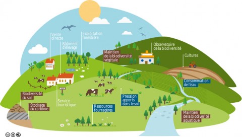 Usages et services liés au pastoralisme