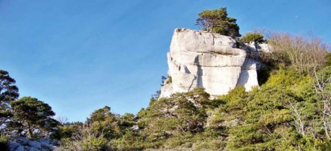 On reconnaît un espace féral à l'autonomie retrouvée des processus qui s'y déroulent.