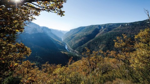 Causse Méjean