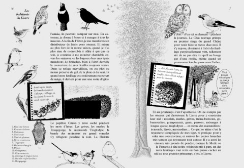 Double page extraite du n°106 de La Hulotte sur le lierre.