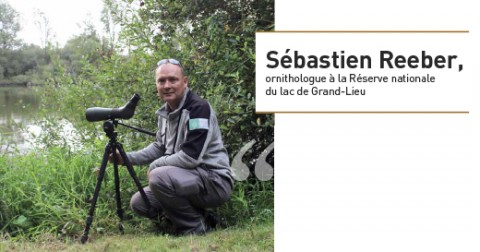 Sébastien Reeber, ornithologue à la Réserve nationale du lac de Grand-Lieu © SNPN