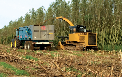 La matière issue de travaux d'entretien est transformée de façon à être valorisée en chaufferie bois.