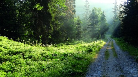 Le Grand Veymont (Vercors)