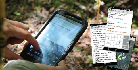 Utilisation de l’application mobile sur le terrain.