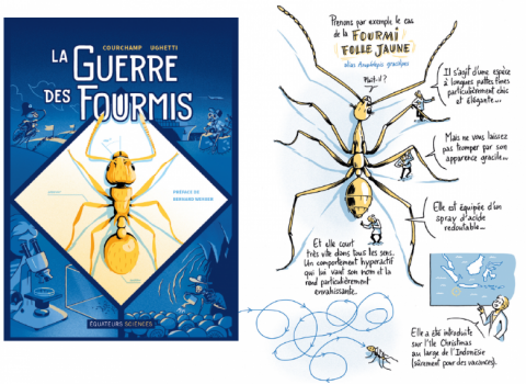 La guerre des fourmis. Courchamp Ughetti