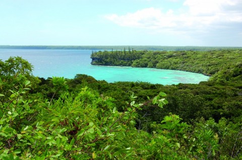 On trouve aussi le principe de non-régression dans le récent Code de l’environnement des Îles Loyauté, en Nouvelle-Calédonie.